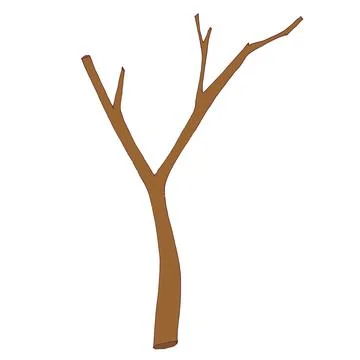 Part of a tree branch, a bare branch without leaves. Vector Stock Illustration