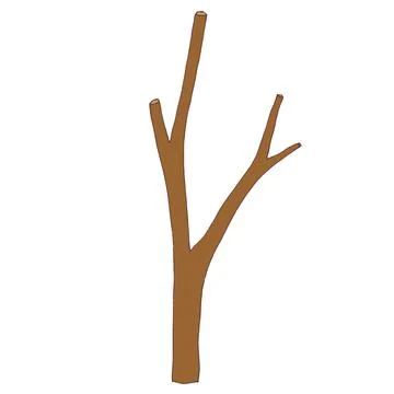 Part of a tree branch, a bare branch without leaves. Vector Stock Illustration