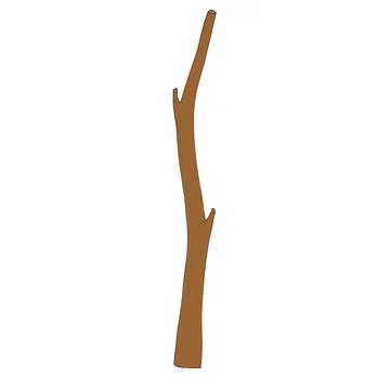 Part of a tree branch, a bare branch without leaves. Vector Stock Illustration