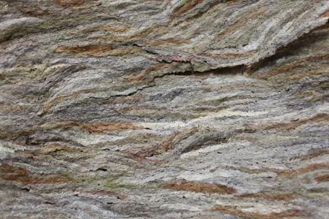 Part of a wasp nest Stock Photos