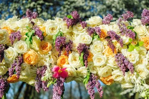 Part of wedding arch Stock Photos