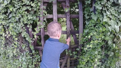 Part1 slow motion, cute boy in magical garden, opening wooden door  Stock-Footage 82194929