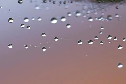 Partial blur view lines spider web necklace Foto stock