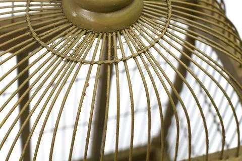 Partial Cage Stock Photos