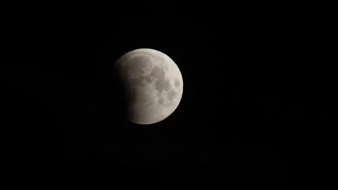 The partial Eclipse of the Lunar Full Worm Moon. Stock Footage 304108821