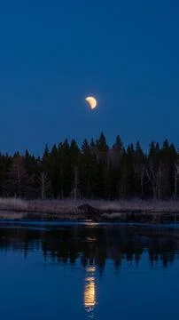 Partial lunar eclipse in a dark blue night sky and reflecting in a swamping pond Stock Photos