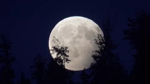 Partial Lunar Eclipse July 2017 Close Stock Footage 78740431