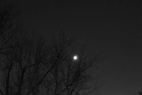 Partial Lunar Eclipse of November 19, 2021 Stock Photos