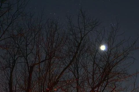 Partial Lunar Eclipse of November 19, 2021 Stock Photos