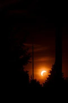 Partial solar eclipse above silhouetted trees and street lamp. Stock Photos