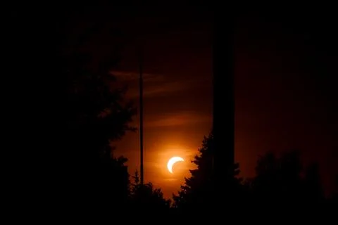 Partial solar eclipse behind silhouetted trees and street lamp. Stock Photos