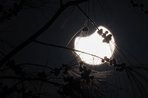 Partial solar eclipse in Canary Islands, Puerto Del Rosario, Spain - 29 Mar 2025 Stock Photos
