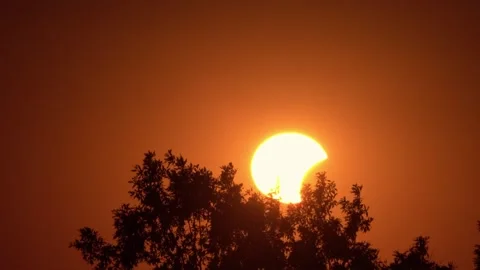 Partial Solar Eclipse Glowing Above Treetops at Dusk in Mountains Stock-Footage 343845480