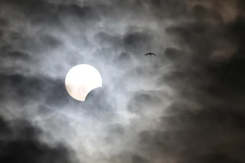 Partial Solar Eclipse in Istanbul, Turkey Fotos Stock