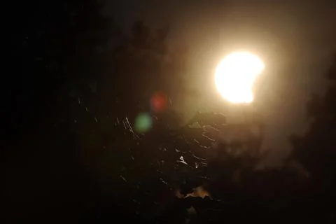Partial solar eclipse in Latvia, Sabile - 12 Aug 2026 Stock Photos