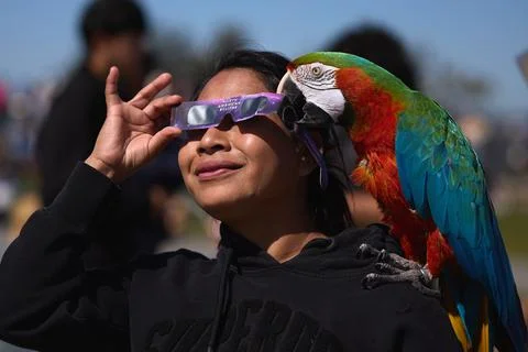 Partial Solar Eclipse in Los Angeles, USA - 08 Apr 2024 Stock Photos
