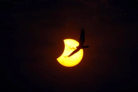 Partial Solar Eclipse, Mumbai, Maharashtra, India, Asia India Copyright: x... Stock Photos
