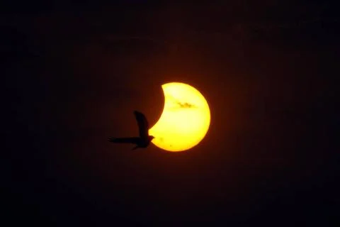 Partial Solar Eclipse, Mumbai, Maharashtra, India, Asia India Copyright: x... Stock Photos