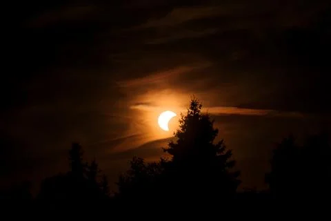 Partial solar eclipse over forest trees at dusk. Stock Photos