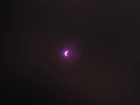 Partial Solar Eclipse Фото