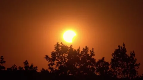Partial Solar Eclipse Seen From Mountain Above Treetops at Sunset Stock Footage 343845475
