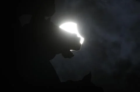Partial solar eclipse in St. Petersburg, St Petersburg, Russian Federation - 29  Stock Photos