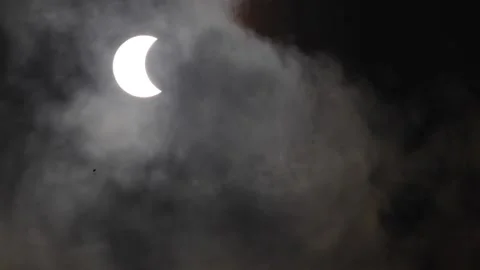 Partial solar eclipse in tropical country Stock Footage 239712536