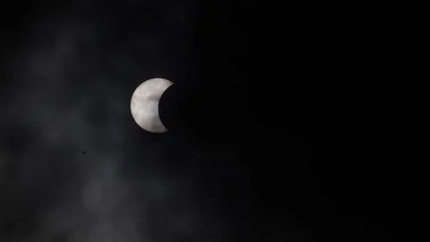 Partial solar eclipse in tropical country Stock Footage 239712786