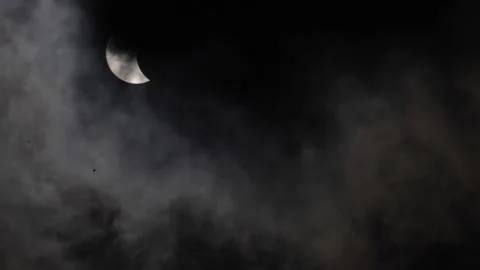 Partial solar eclipse in tropical country Stock Footage 239712829