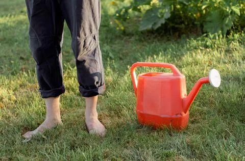 Partial view of man holding blue watering can Stock Photos