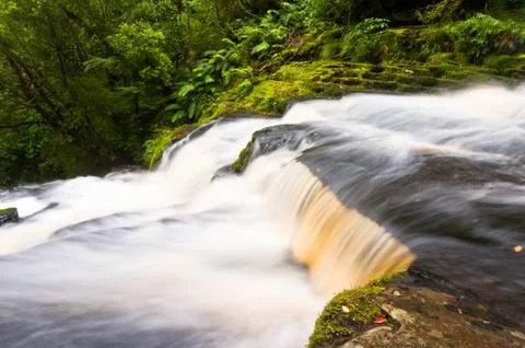 Partial view mclean falls in the catlins Stock Photos
