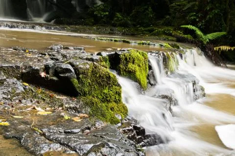 Partial view purakanui falls catlins district south otago Stock Photos