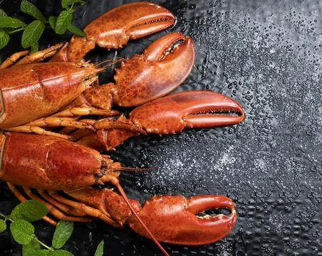 Partial view of two cooked lobsters on black background Stock Photos