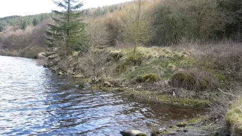 Partial view of the water reservoir surrounded by greenery in the park. 動画素材 154368774