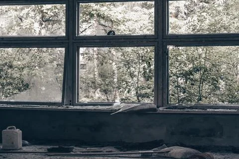 Partially blurred broken windows of old, abandoned building. Inside view to c Stock Photos