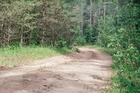 Partially blurred creative background image of sandy path in summer forest, a Stock Photos