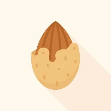 Partially Cracked Almond Shell Flat Vector Illustration Illustrazione stock