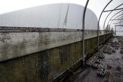 A partially empty greenhouse with refracted light Stock Photos