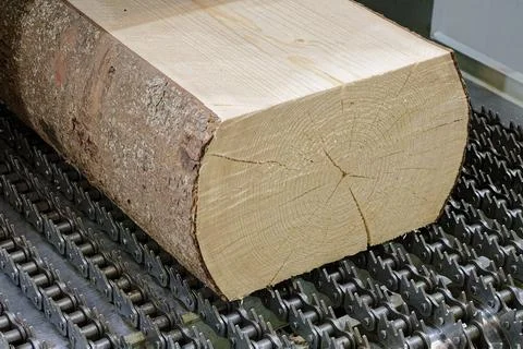 Partially processed log on the conveyor of a woodworking machine Stock Photos