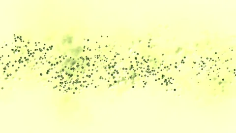 Particle animation under the microscope. Stock Footage 133944316