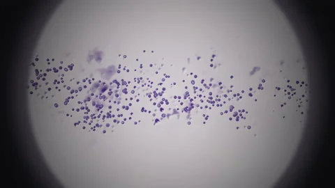 Particle animation under the microscope Stock Footage 133966841