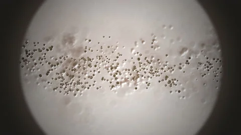 Particle animation under the microscope Stock Footage 133966913