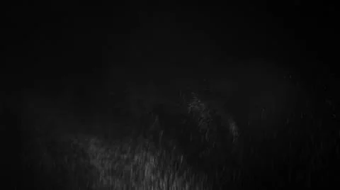 Particle burst 5 库存影片 10772128