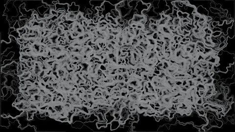 Particle Cloud Perlin Noise Flow Field Generative Monochrome Black Background 4K Stock Footage 340386721
