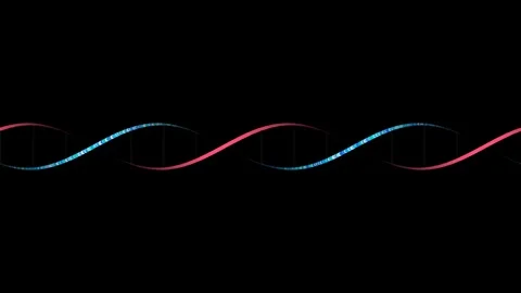 Particle DNA helix on black background overlay 4K Stock Footage 336513960