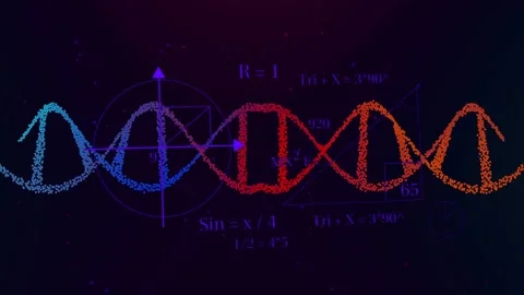 Particle double-helix waveform pulsing and shifting after circle fading in, Stock Footage 335732079