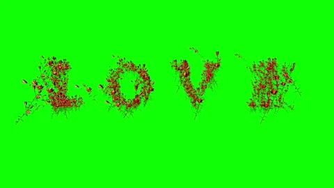 Particle Effect Forming LOVE Text from Rose Petals on Green Screen Stock-Footage 321182003