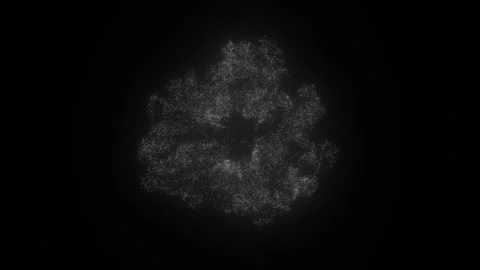 Particle Explosion. White Particles Burst. Particle Shockwave. Particle Blast Stock Footage 296042292