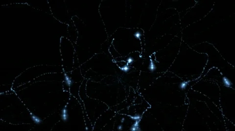 Particle firework Stock Footage 11148159