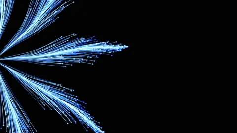 Particle flowers 3d abstract animation Stock Footage 180908237